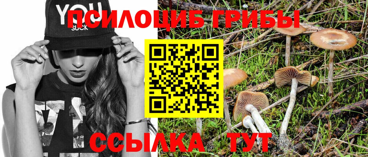 Псилоцибиновые грибы мицелий Елец
