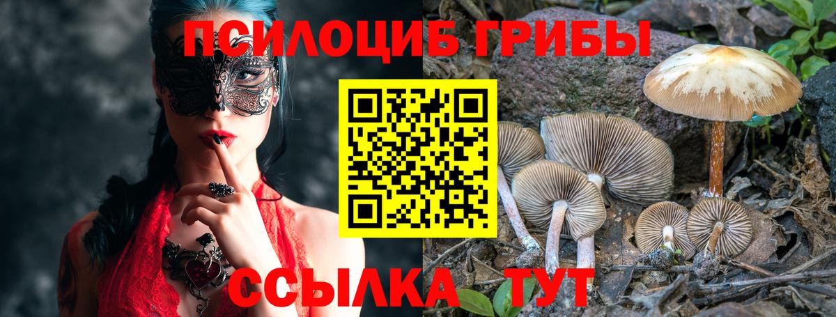 Елец  Галлюциногенные грибы Cubensis  Псилоцибиновые грибы MAGIC MUSHROOMS  Вход с VPN 